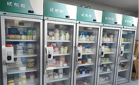 1769482192818202.png 3.png